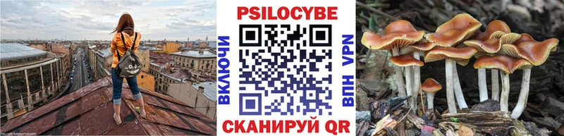 Псилоцибиновые грибы мицелий  Суздаль 